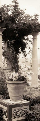 Jardin Botanico Black Ornate Wood Framed Art Print with Double Matting by Blaustein, Alan