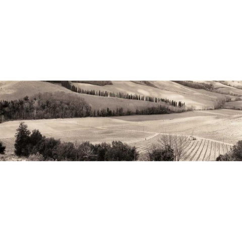 San Gimignano Italia Black Modern Wood Framed Art Print with Double Matting by Blaustein, Alan