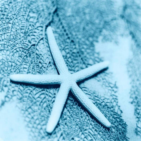 Nautica No2 White Modern Wood Framed Art Print with Double Matting by Blaustein, Alan