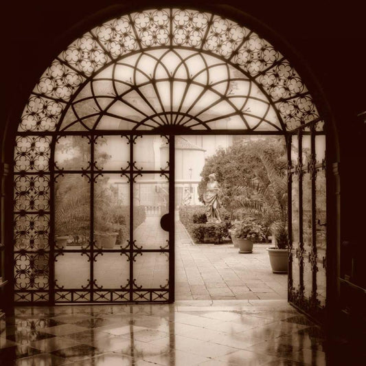 Image Only