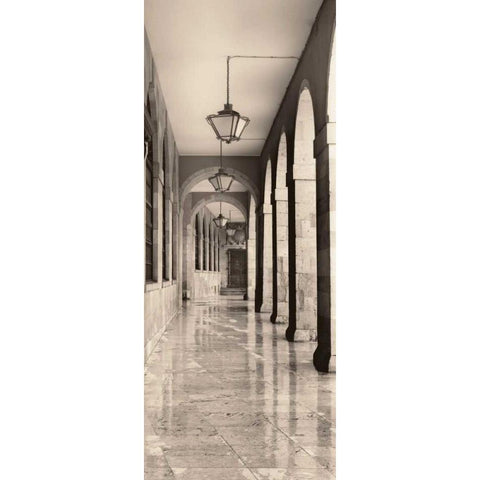 Leon Espana White Modern Wood Framed Art Print by Blaustein, Alan