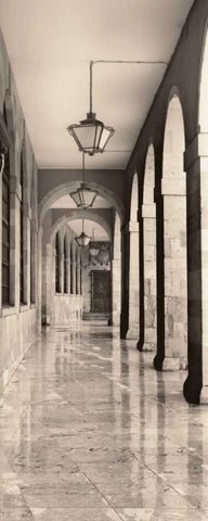 Leon Espana Black Ornate Wood Framed Art Print with Double Matting by Blaustein, Alan