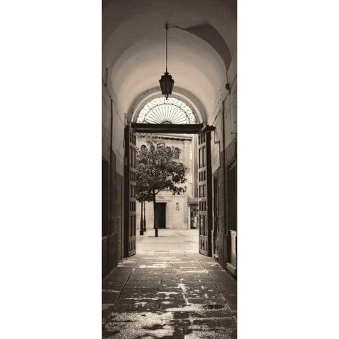 Portico Espana Black Modern Wood Framed Art Print by Blaustein, Alan