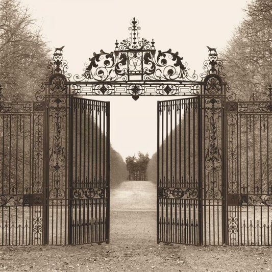 Image Only