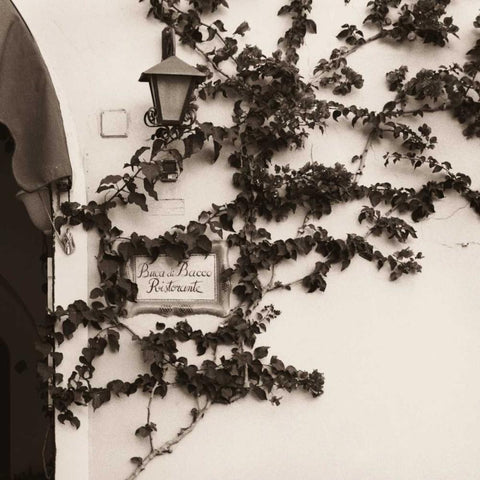 Buca di Bacco Ristorante White Modern Wood Framed Art Print with Double Matting by Blaustein, Alan