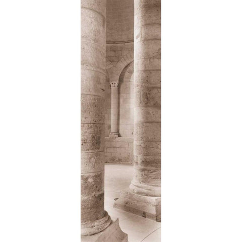 Les Colonnes II Black Modern Wood Framed Art Print by Blaustein, Alan