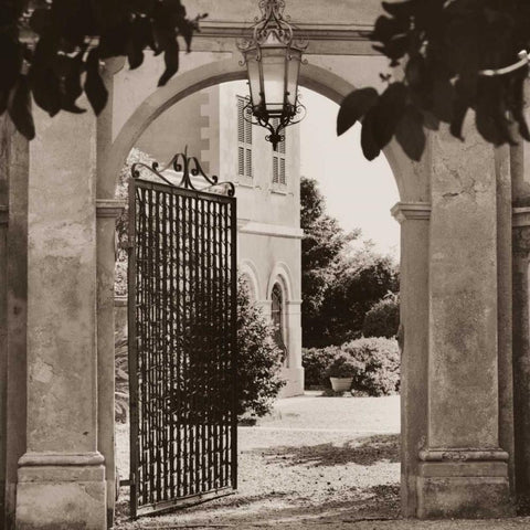 Giardino Mortola Black Modern Wood Framed Art Print by Blaustein, Alan