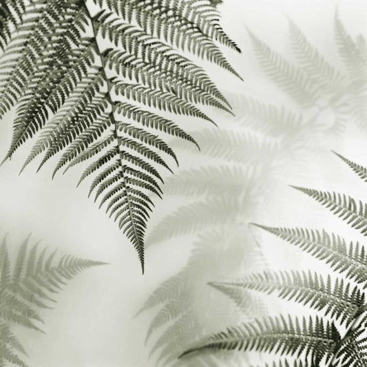 Image Only