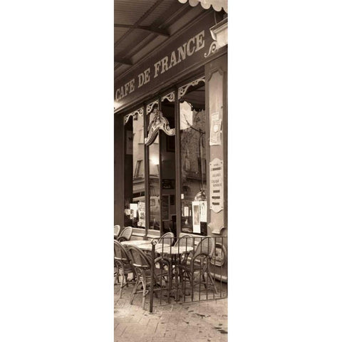 Cafe de France Gold Ornate Wood Framed Art Print with Double Matting by Blaustein, Alan