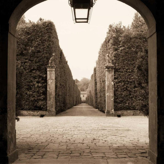 Image Only