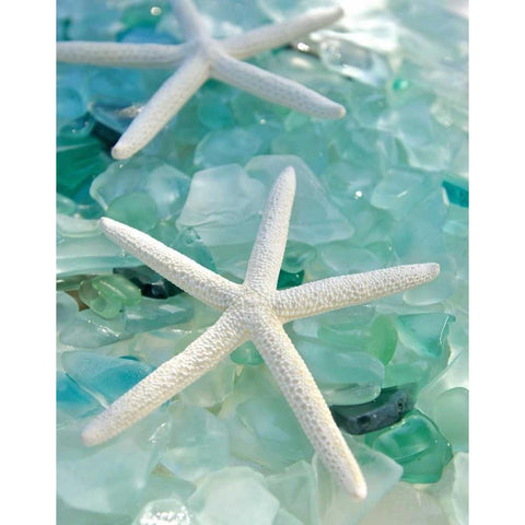 Seaglass 1 White Modern Wood Framed Art Print by Blaustein, Alan