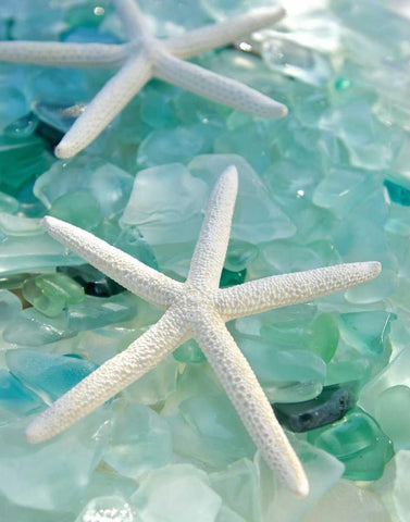 Seaglass 1 Black Ornate Wood Framed Art Print with Double Matting by Blaustein, Alan