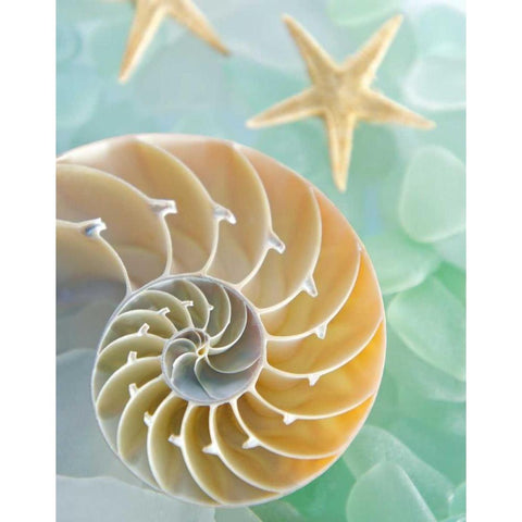 Seaglass 2 Gold Ornate Wood Framed Art Print with Double Matting by Blaustein, Alan