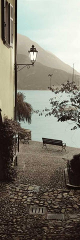 Panchina di Lago Black Ornate Wood Framed Art Print with Double Matting by Blaustein, Alan