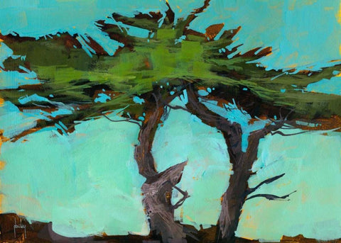 Cypresses White Modern Wood Framed Art Print with Double Matting by Bailey, Paul