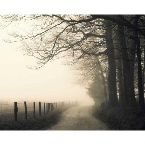 Hyatt Lane Black Modern Wood Framed Art Print by Bell, Nicholas