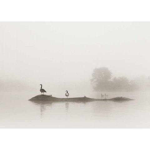 Melton Lake Black Modern Wood Framed Art Print by Bell, Nicholas
