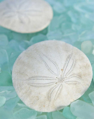 Seaglass 3 White Modern Wood Framed Art Print with Double Matting by Blaustein, Alan