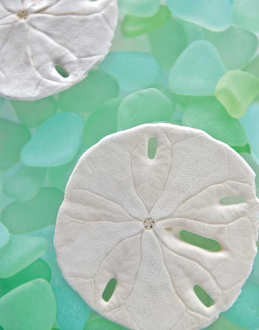 Seaglass 5 Black Ornate Wood Framed Art Print with Double Matting by Blaustein, Alan