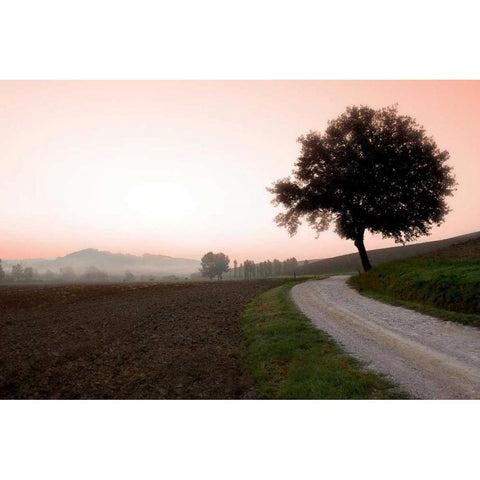 Toscana Valle No.1 Black Modern Wood Framed Art Print by Blaustein, Alan