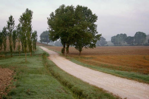 Toscana Valle No.2 White Modern Wood Framed Art Print with Double Matting by Blaustein, Alan