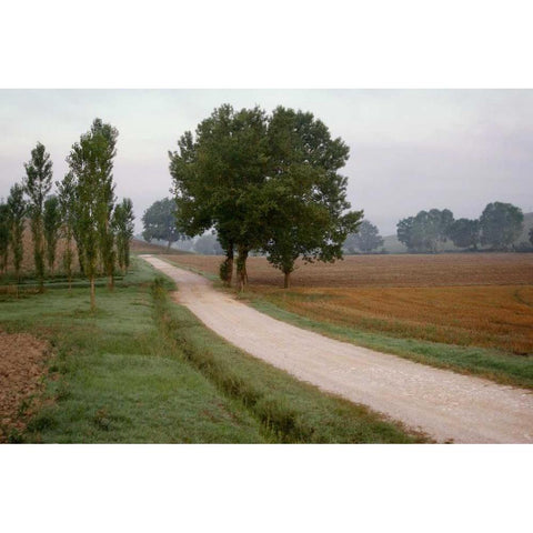 Toscana Valle No.2 Black Modern Wood Framed Art Print by Blaustein, Alan