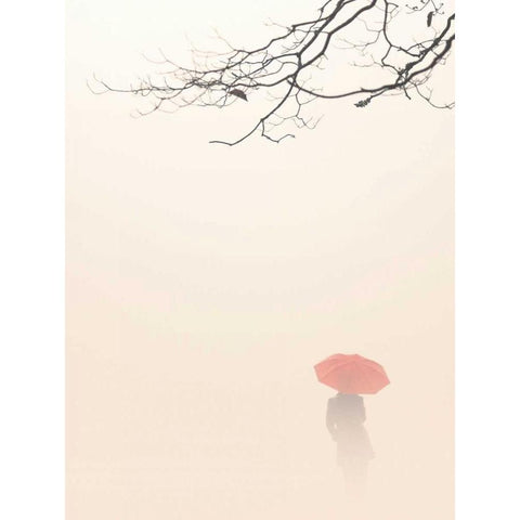 In Autumn Fog Black Modern Wood Framed Art Print by Bell, Nicholas