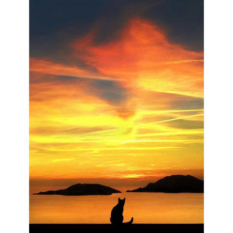 Contemplation Black Modern Wood Framed Art Print by Bertelli, Jon
