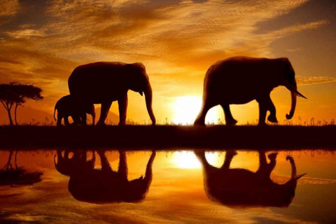 Sunset Walk White Modern Wood Framed Art Print with Double Matting by Bay, Noah