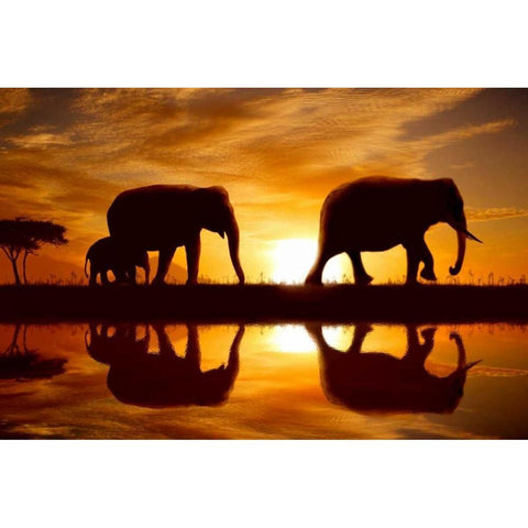Sunset Walk White Modern Wood Framed Art Print by Bay, Noah