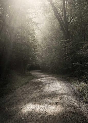 Back Country Road Black Ornate Wood Framed Art Print with Double Matting by Bell, Nicholas
