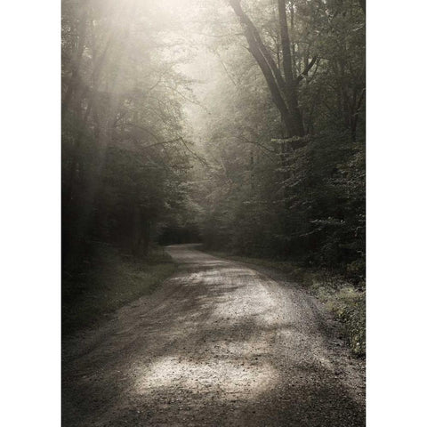 Back Country Road Black Modern Wood Framed Art Print by Bell, Nicholas