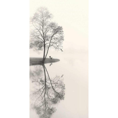 Tranquil Morning Black Modern Wood Framed Art Print by Bell, Nicholas