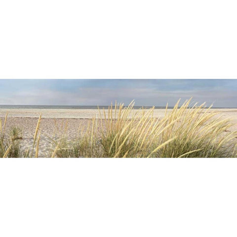 Island Sand Dunes Black Modern Wood Framed Art Print by Blaustein, Alan