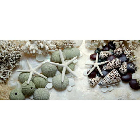 Island Tide Pool No. 2 Black Modern Wood Framed Art Print with Double Matting by Blaustein, Alan