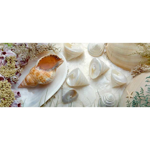 Island Tide Pool No. 6 White Modern Wood Framed Art Print by Blaustein, Alan