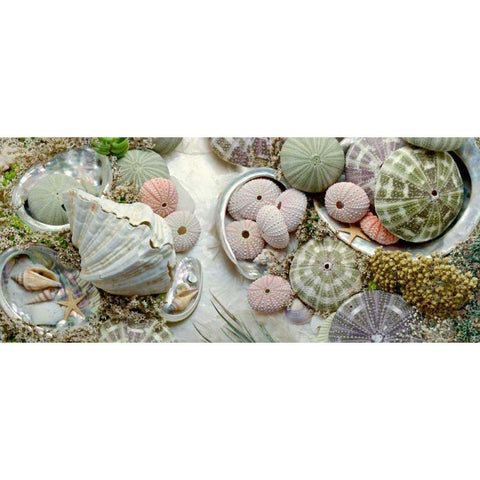 Island Tide Pool No. 7 White Modern Wood Framed Art Print by Blaustein, Alan