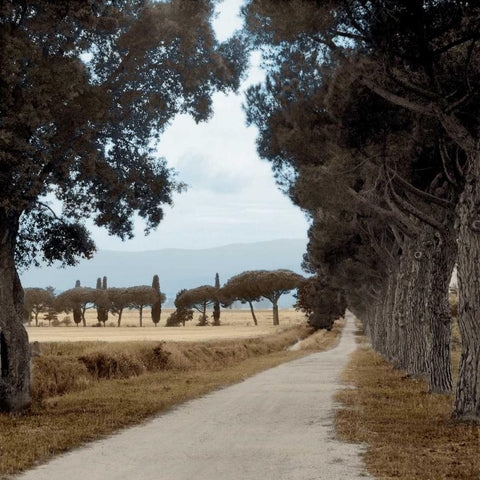 Tuscan Fatorria Strada No. 2 Black Ornate Wood Framed Art Print with Double Matting by Blaustein, Alan