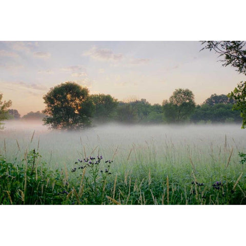 Western Plains Sunrise Black Modern Wood Framed Art Print by Blaustein, Alan