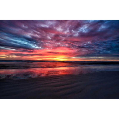 Natureaâ‚¬â„¢s Palette Black Modern Wood Framed Art Print by Burdick, Chuck