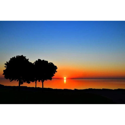 Rise and Shine Black Modern Wood Framed Art Print with Double Matting by Burdick, Chuck