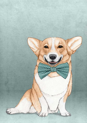 Corgi Dog White Modern Wood Framed Art Print with Double Matting by Barruf