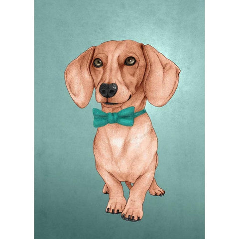 The Wiener Dog White Modern Wood Framed Art Print by Barruf