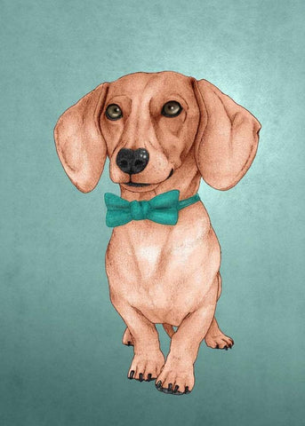 The Wiener Dog White Modern Wood Framed Art Print with Double Matting by Barruf