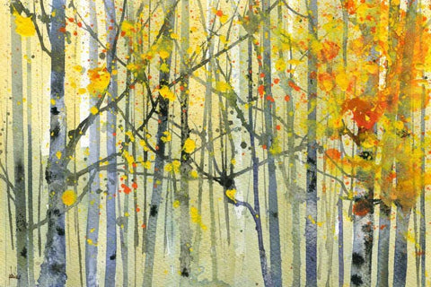 Autumn Birches White Modern Wood Framed Art Print with Double Matting by Bailey, Paul