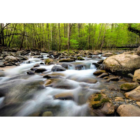 Below the Bridge Black Modern Wood Framed Art Print by Burt, Daniel