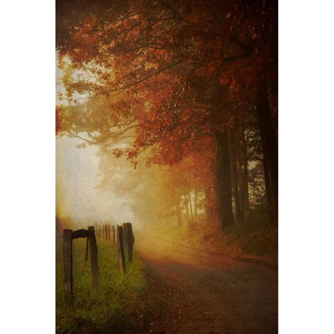 Come to the Light Black Modern Wood Framed Art Print by Burt, Daniel