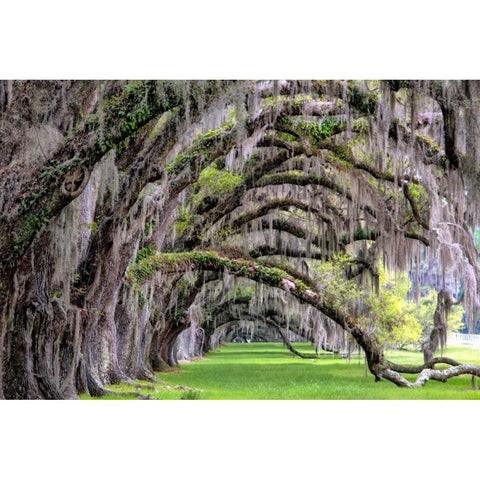 Hanging to the Right Black Modern Wood Framed Art Print with Double Matting by Burt, Daniel