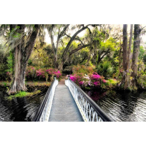 The Garden Bridge Black Modern Wood Framed Art Print with Double Matting by Burt, Daniel