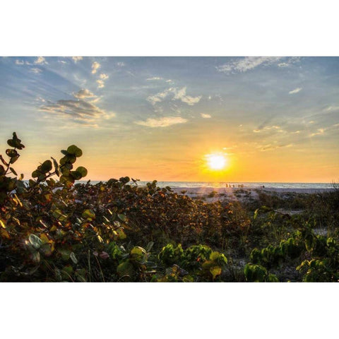 Sea Grapes at Sunset Gold Ornate Wood Framed Art Print with Double Matting by Burdick, Chuck